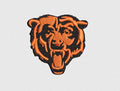 Bear Embroidery Design