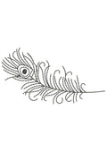 Peacock Feather Embroidery Design