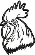 Rooster Embroidery Design