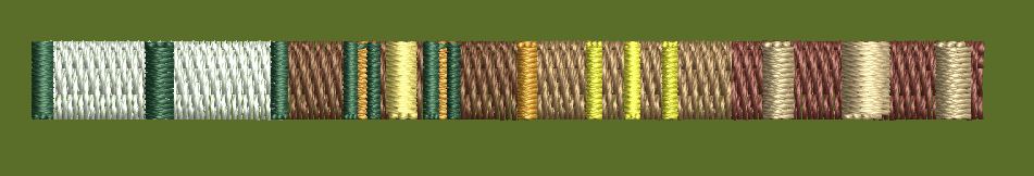 Multicolor Vertical Striped Ribbon Embroidery Design