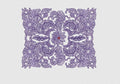 Flower Embroidery Design