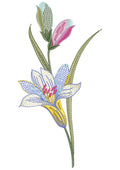 Flower Dasta Embroidery Design