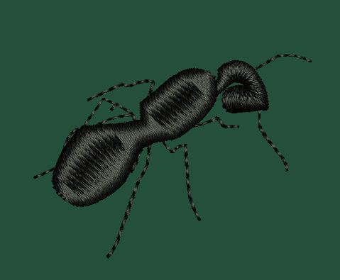 Black Ant Embroidery Design