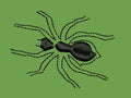 Black Spider Embroidery Design