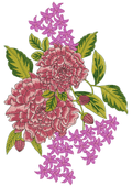 B T Flower Embroidery Design