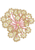 Tiny Sequins Embroidery Design
