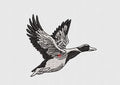 Duck Embroidery Design