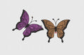 Butterfly Embroidery Design