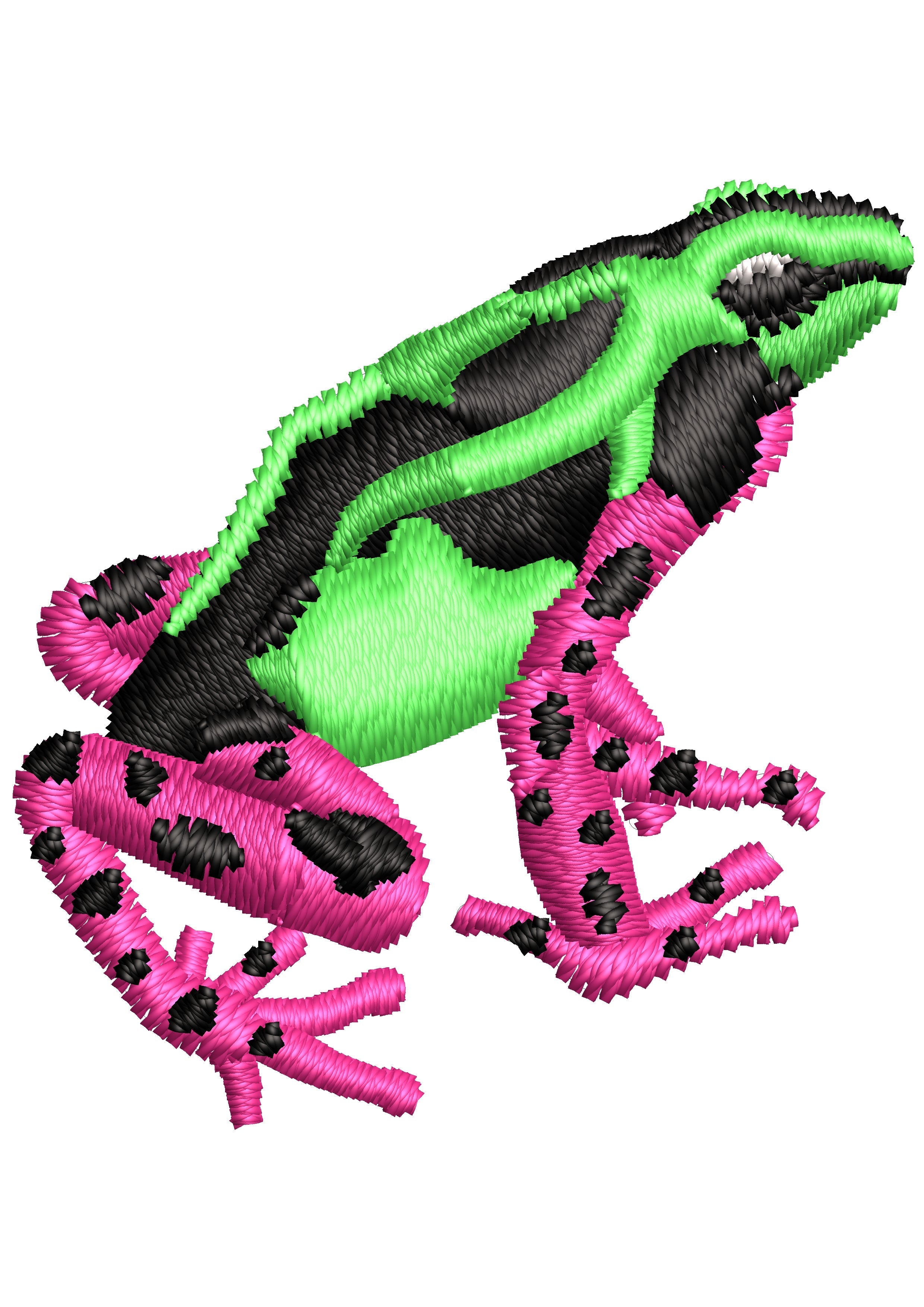 Sui Frog Beauty Colour Embroidery Design