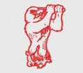 Eagle Embroidery Design