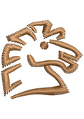 Horse Baby Embroidery Design