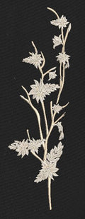 Floral Branch Beige & Black Embroidery Design