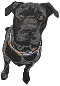Black Dog Embroidery Design