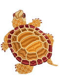 Turtle Embroidery Design