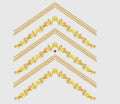 Flower Embroidery Design