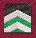 Chevron Patch Green Embroidery Design