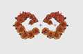 Eye Embroidery Design