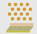 Flower Embroidery Design
