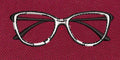 Cat Eye Glasses Retro Frame Embroidery Design