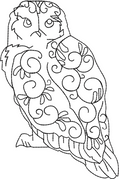 Owel Embroidery Design