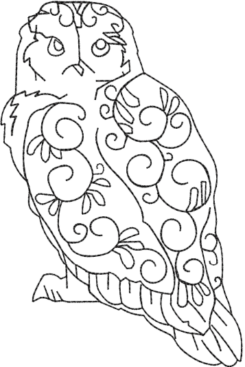 Owel Embroidery Design