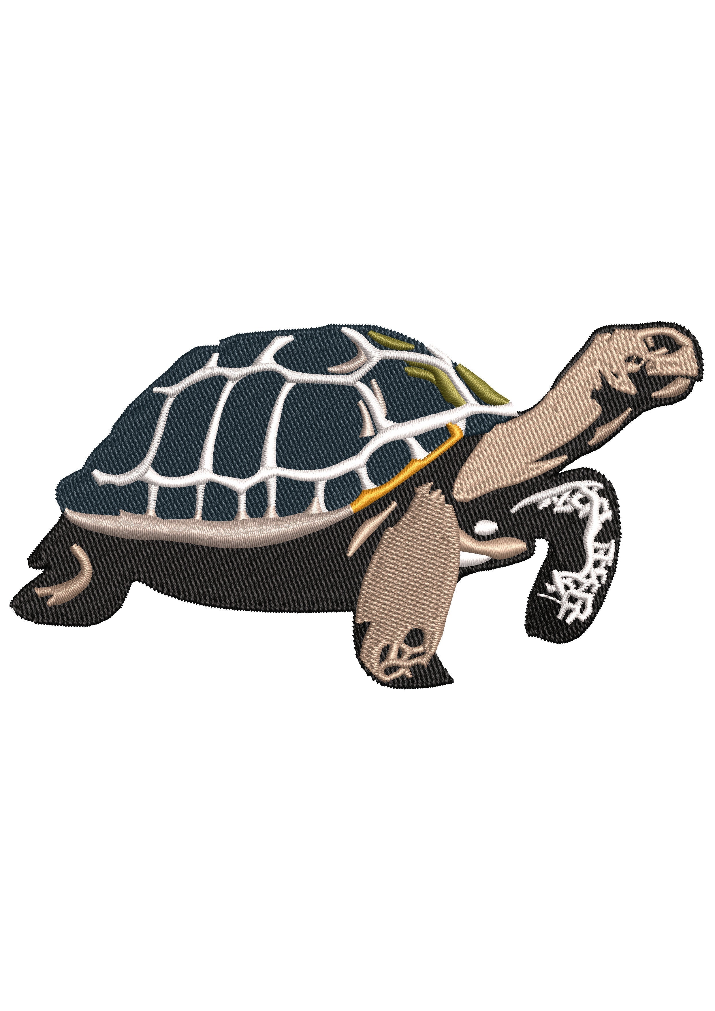 Turtle Embroidery Design