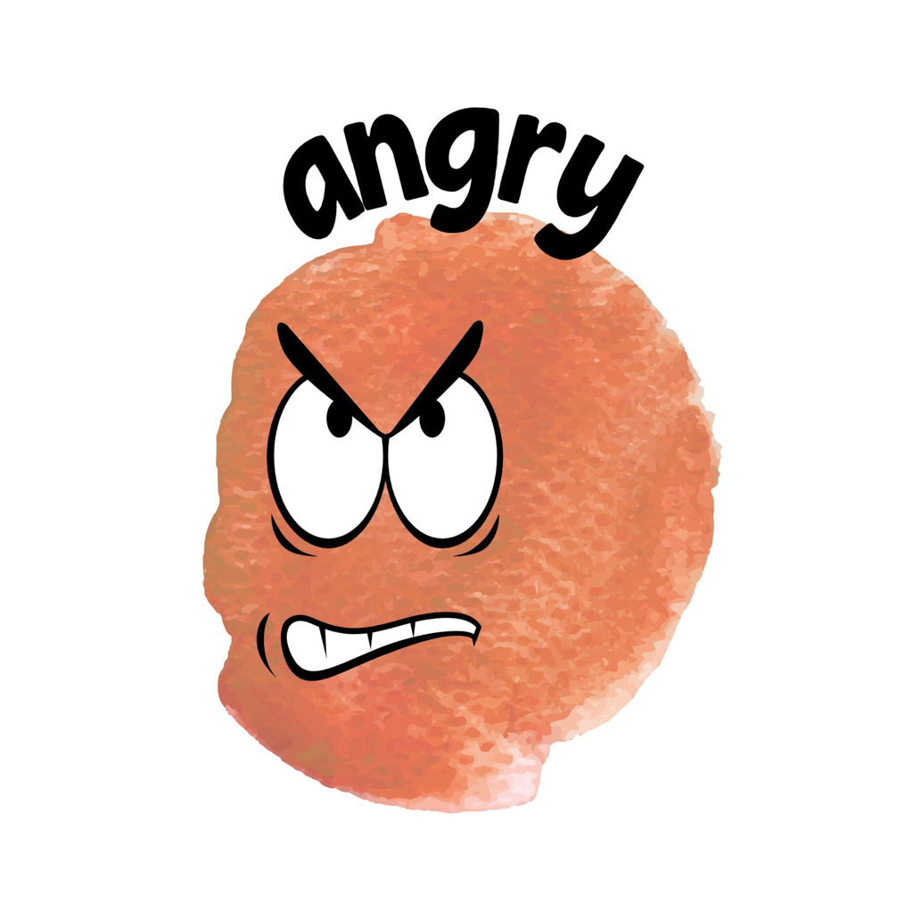 Today I Feel Emotion Flashcards