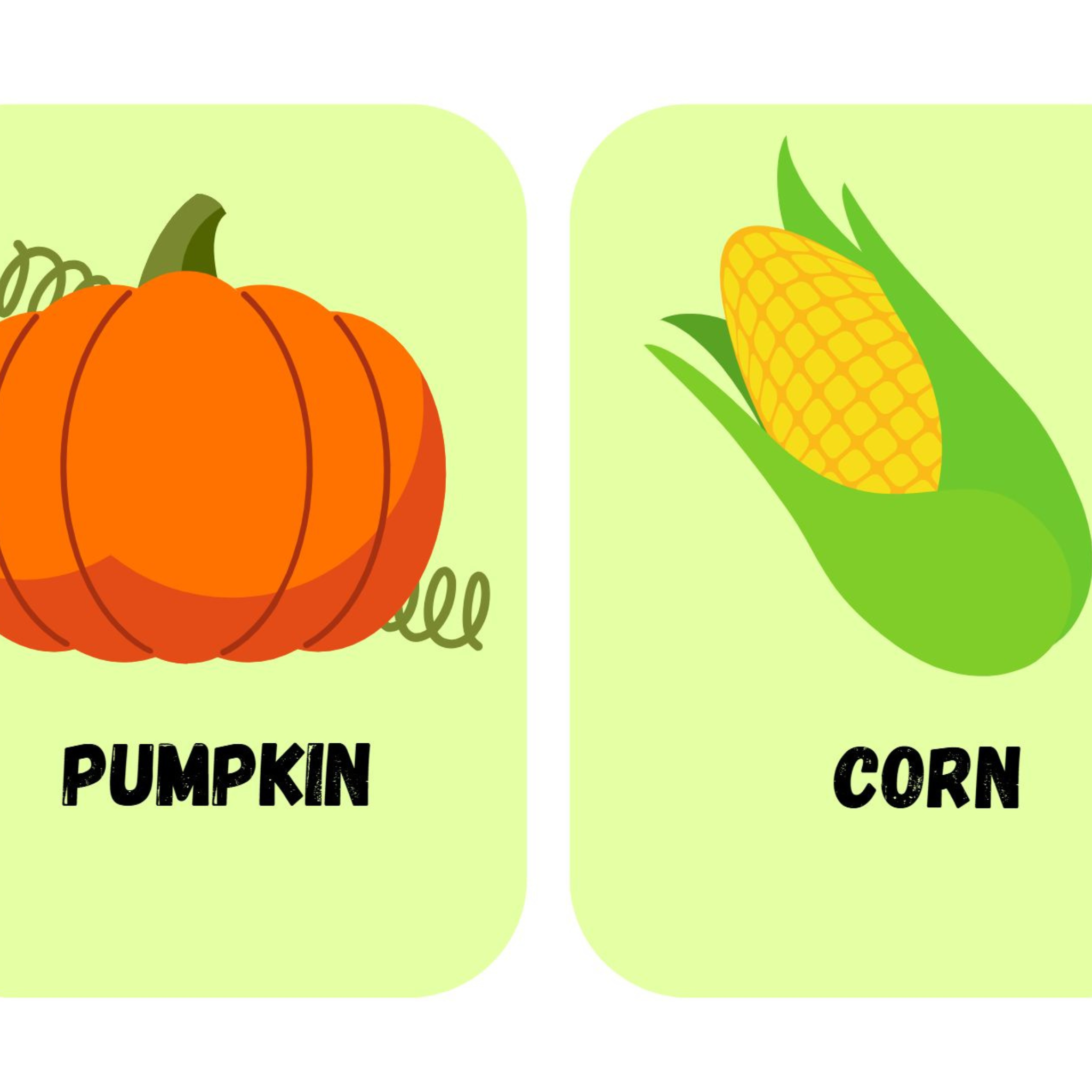 Vegetable Flashcards for Kids